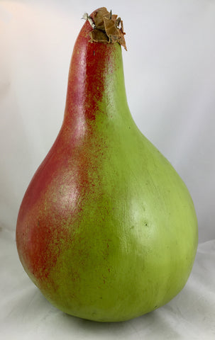 Gourd hand painted  to resemble pear SOLD